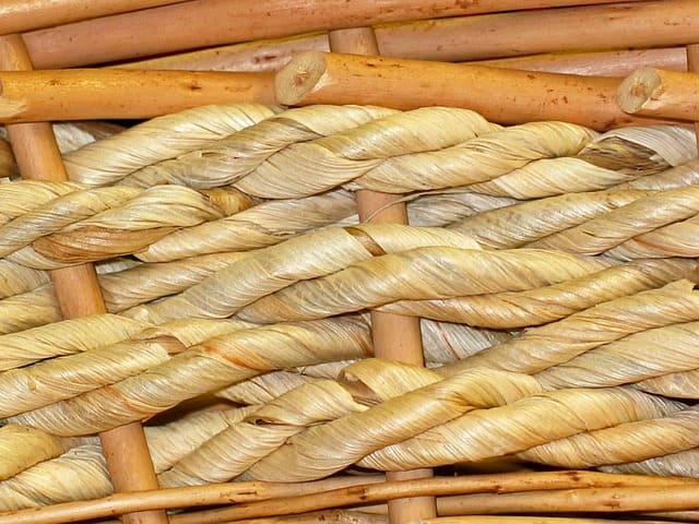 You are currently viewing Mengenal Kayu Rotan, Material Furniture Terbaik dari Indonesia