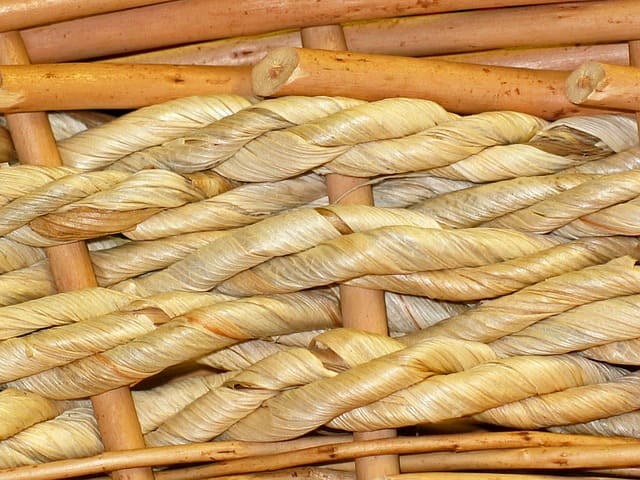 kayu rotan