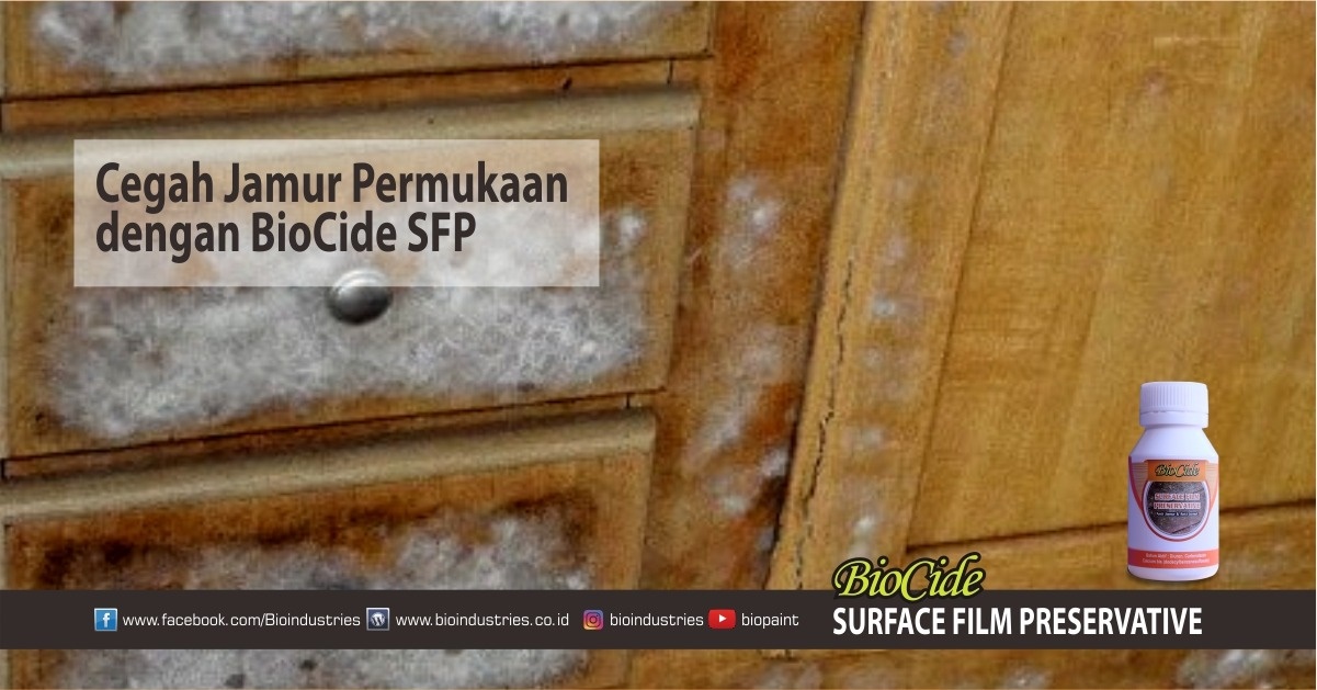 Jamur Masih Saja Merusak Furniture Lima Langkah Ini Bisa Mengatasinya - biocide sfp clear coat