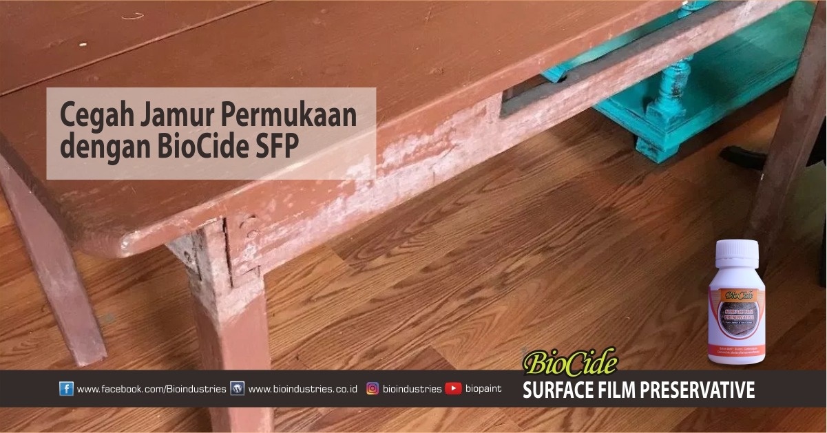 Jamur Masih Saja Merusak Furniture Lima Langkah Ini Bisa Mengatasinya - biocide sfp 3