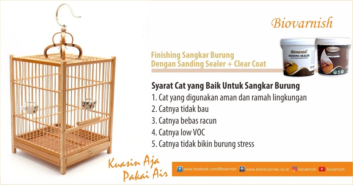 Biovarnish sanding sealer clear coat