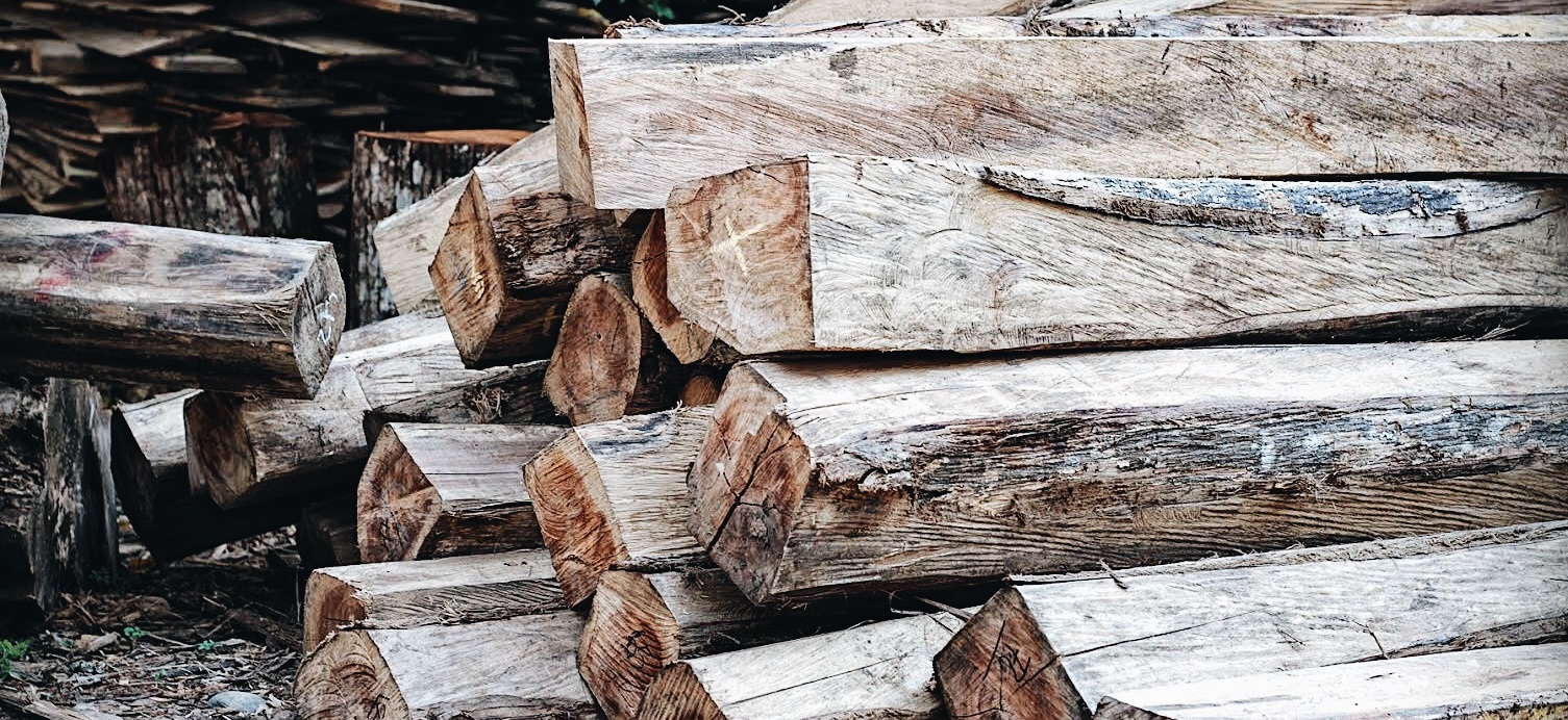 Mengenal Jenis-Jenis Kayu Terbaik Untuk Furniture Dan Finishingnya - kayu impor kayu lokal