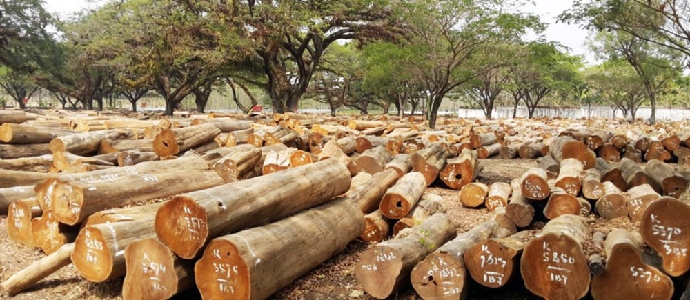 Mengenal Jenis  Dan Finishing Kayu  Terbaik Untuk  Furniture 