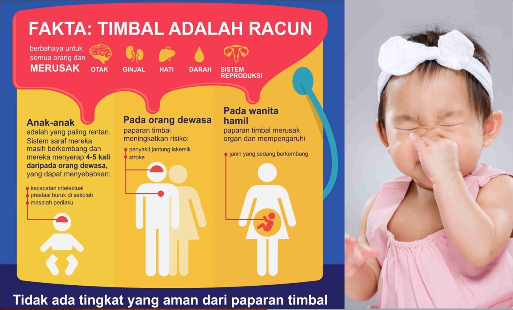 Read more about the article Waspada Mainan Anak Berbahan Kayu Berbahaya Mengandung Ftalat