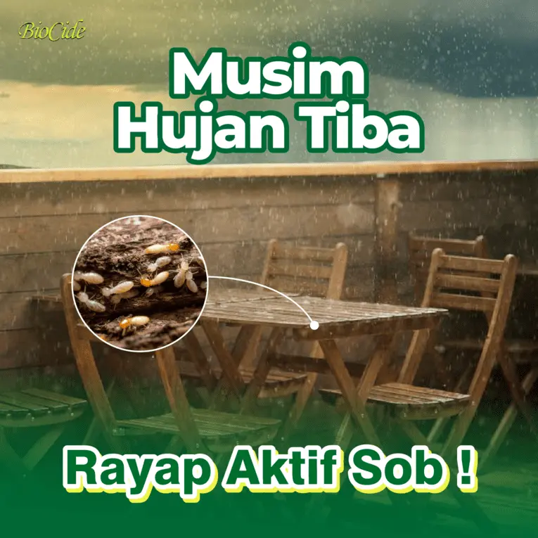 Masalah furnitur saat musim hujan