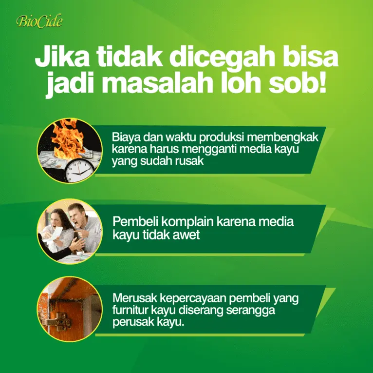 masalah tidak ada penanggulangan serangga kayu