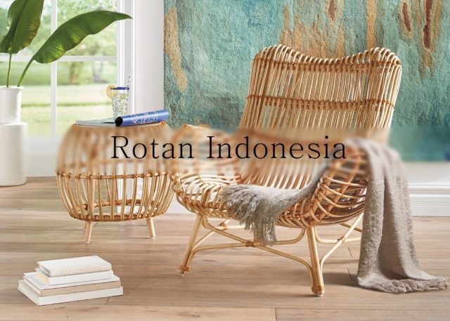 Mengenal Politur Kayu Untuk Rotan Indonesia