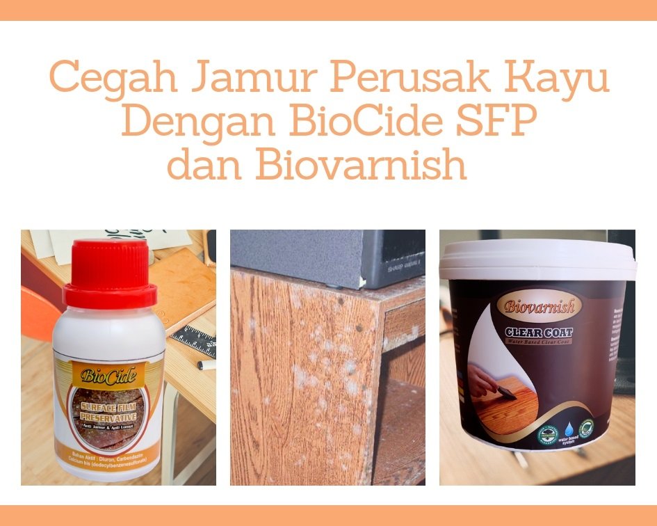 jamur perusak kayu