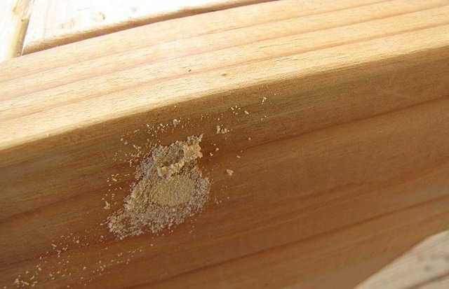 Wood Filler Peeling