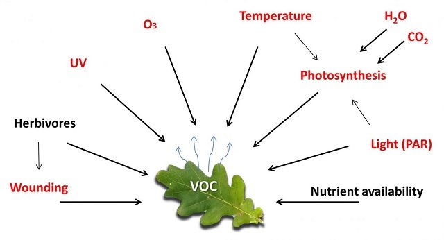 VOC Finishes